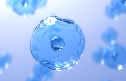 JSBio Cell Culture Media