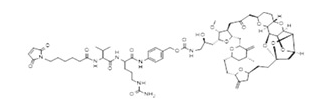 Mal-PEG8-VA-PAB-Exatecan structure